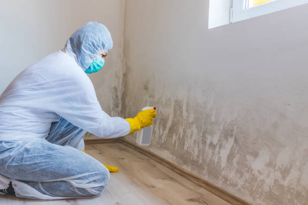 Bathroom Mold Removal assessment in Danville bathroom